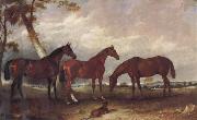 unknow artist Some Horses Spain oil painting artist